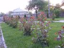 DSCF0401