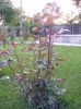 DSCF0402