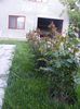 DSCF0418