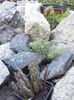 DSCF0420