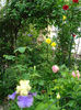 DSC08659