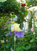 DSC08798