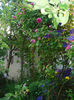 DSC08813