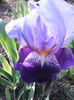 IMG_20140507_174735