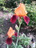 IMG_20140507_174808