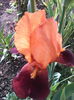 IMG_20140507_174628