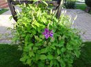 DSC00255