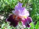DSCN1739_004