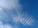 DSCF5242