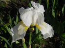 DSCN1755_020
