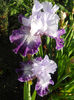 DSCN1750_015