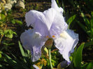 DSCN1752_017