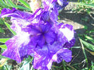 DSCN1765_002
