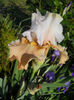 DSCN1775_012