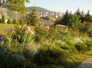 DSCN1779_016