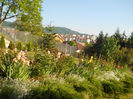 DSCN1780_017