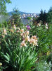 DSCN1781_018
