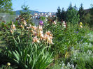 DSCN1782_019