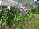 DSCN1783_020