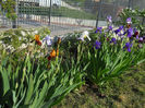 DSCN1784_021