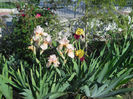 DSCN1785_022