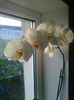 Photo0670