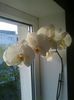 Photo0671