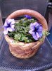 20140508_123928