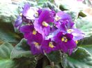 20140508_115239