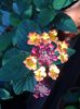 20140507_182523