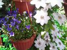 20140508_123953