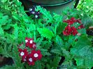 20140508_124040