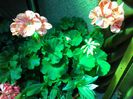 20140508_124103
