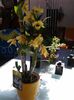 20140508_114818