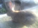 P08-05-14_19.08[1]