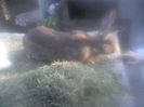 P08-05-14_19.12[1]