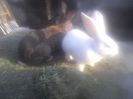 P08-05-14_19.12[2]