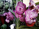 20140506_082734