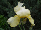 DSCN1789_001