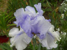 DSCN1797_009