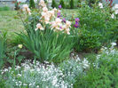 DSCN1800_012