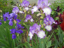 DSCN1838_050