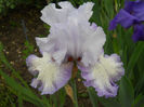 DSCN1842_054