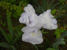 DSCN1844_056