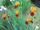 DSCN1847_059