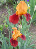 DSCN1852_064
