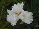DSCN1849_061