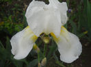 DSCN1845_057