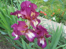 DSCN1859_071