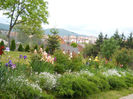 DSCN1890_102